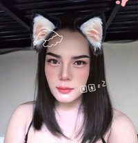 Ladyboy - Transsexual escort in Al Sohar