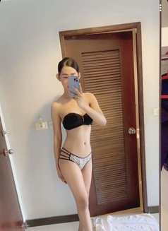 Ladyboy Thai - Transsexual escort in Phuket Photo 3 of 7