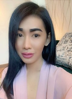 Ladyboy Thai - Transsexual escort in Phuket Photo 6 of 7
