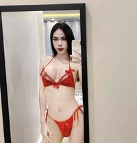 Ladyboy with bigcock - masseuse in Doha