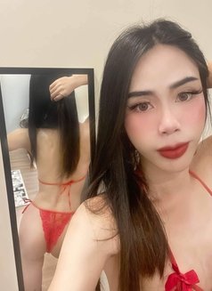 Ladyboy with bigcock - masseuse in Doha Photo 6 of 18