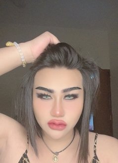 Ladyboy Thailand - Transsexual escort in Al Manama Photo 6 of 6