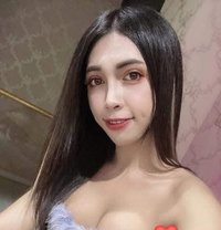 Ladyboy Thailand - Acompañantes transexual in Khobar