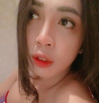 Ladyboy Thailand - Acompañantes transexual in Khobar