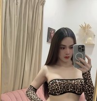 Ladyboy Thailand (Al Khuwair) - Transsexual escort in Muscat