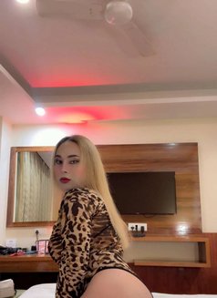 POWER TOP in AJMAN - Transsexual escort in Ajmān Photo 19 of 26