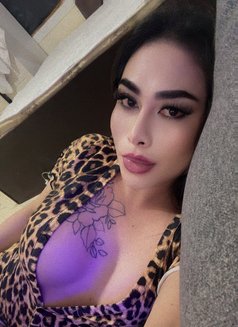 POWER TOP in AJMAN - Transsexual escort in Ajmān Photo 20 of 26