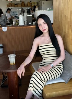Ladyboy Top, Bottom in Al Khuwair - Transsexual escort in Muscat Photo 1 of 13