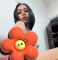 ladyboy 🇹🇭 top,bottom - Transsexual escort in Muscat