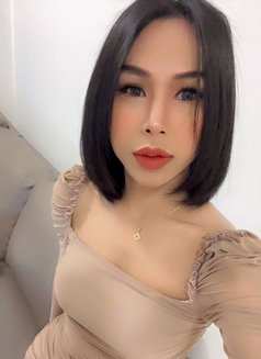 ladyboy 🇹🇭 top,bottom - Acompañantes transexual in Muscat Photo 3 of 4