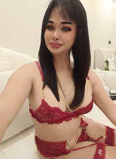 Ladyboy Top VIP #riyadh🇸🇦 - Transsexual escort in Riyadh Photo 4 of 4