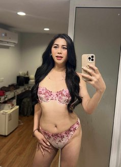 Top lady Boy, available now.. - Acompañantes transexual in Bangkok Photo 21 of 26