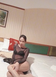 Ladyboy Van - Acompañantes transexual in Bangkok Photo 5 of 6