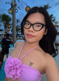 LADYBOY VERS - Acompañantes transexual in Bali Photo 18 of 19