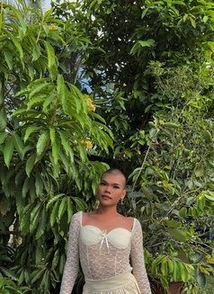 LADYBOY VERS BIG D - Acompañantes transexual in Bali Photo 4 of 7