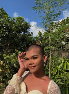 LADYBOY VERS BIG D - Acompañantes transexual in Bali Photo 6 of 7