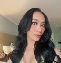 Ladyboy Vicky - Transsexual escort in Cape Town