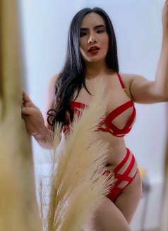 Ladyboy Vip Excellent Service - Transsexual escort in Riyadh Photo 2 of 4