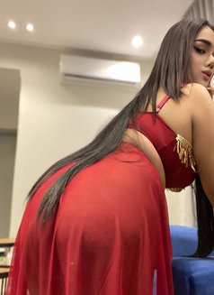 Ladyboy Vip Here - Transsexual escort in Al Manama Photo 3 of 4