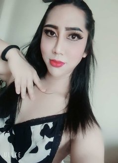 Ladyboy Yoyo - Transsexual escort in Muscat Photo 2 of 3