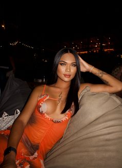 LadyboyChalisa - Transsexual escort in Bangkok Photo 29 of 29