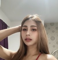Pang Number one - Transsexual escort in Bangkok