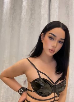 Ladyboys Both Big Ass 🇹🇭 - Transsexual escort in Dammam Photo 2 of 11