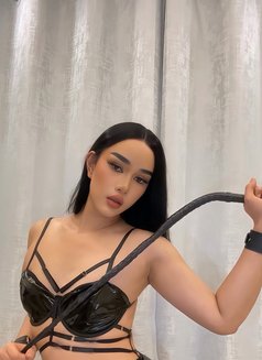 Ladyboys Both Big Ass 🇹🇭 - Transsexual escort in Dammam Photo 5 of 11