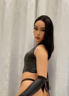 Ladyboys Both Big Ass 🇹🇭 - Acompañantes transexual in Dammam Photo 16 of 16