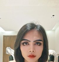 Ladyboyt - Transsexual escort in Dammam