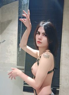 Ladyboyt - Transsexual escort in Khobar Photo 3 of 5
