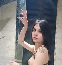 Ladyboyt - Transsexual escort in Khobar