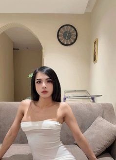 Ladyboyt - Transsexual escort in Riyadh Photo 5 of 5