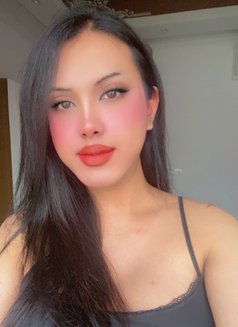 LadyboyThai halfTurkey BiGTop&Bottom VIP - Transsexual escort in Riyadh Photo 20 of 20