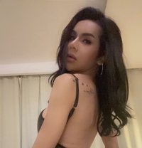 Shemale wearing sexy clothes and stockin - Transsexual escort in Bangkok Photo 11 of 11