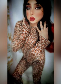 Ladyjoey - Transsexual escort in Beirut Photo 29 of 30