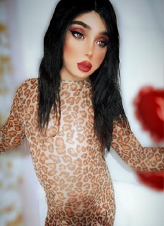 Ladyjoey - Transsexual escort in Beirut Photo 30 of 30