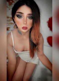 Ladyjoey - Transsexual escort in Beirut Photo 26 of 30