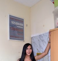 Ladymeow - Transsexual escort in Dubai