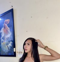 Ladymeow - Transsexual escort in Dubai
