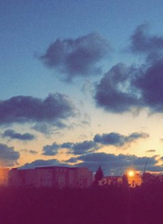 Lail - Acompañante masculino in Cairo Photo 6 of 14