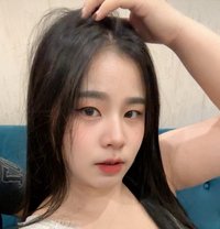 Sara incall outcall - escort in Al Manama