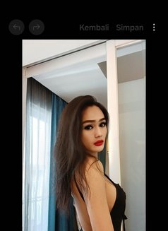 LAILA COBRA NEW IN BALI - Transsexual escort in Bali Photo 16 of 16
