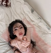 Transgender Domination Anal,albrasha - escort in Dubai