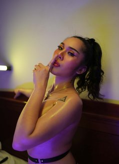 Laila lured one only post-op 🫦 - Transsexual escort in Abu Dhabi Photo 8 of 14