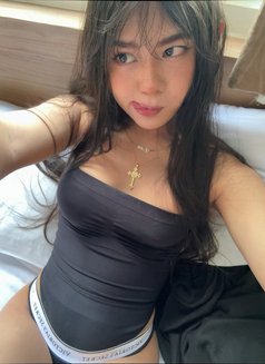 Laila Phuket - Acompañantes transexual in Phuket Photo 1 of 30