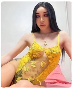 Laila Shemale Big Cock Thailand - Transsexual escort in Bangkok Photo 7 of 10