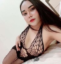 Laila. Th New ladyboy - Transsexual escort in Abu Dhabi