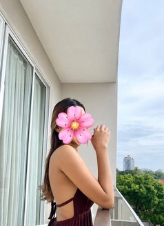 Lakshi LiveCam/Whatsapp - escort in Colombo Photo 1 of 7