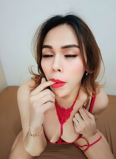 Lala Good Atitude Best Layanan Jom - Transsexual escort in Kuala Lumpur Photo 6 of 6